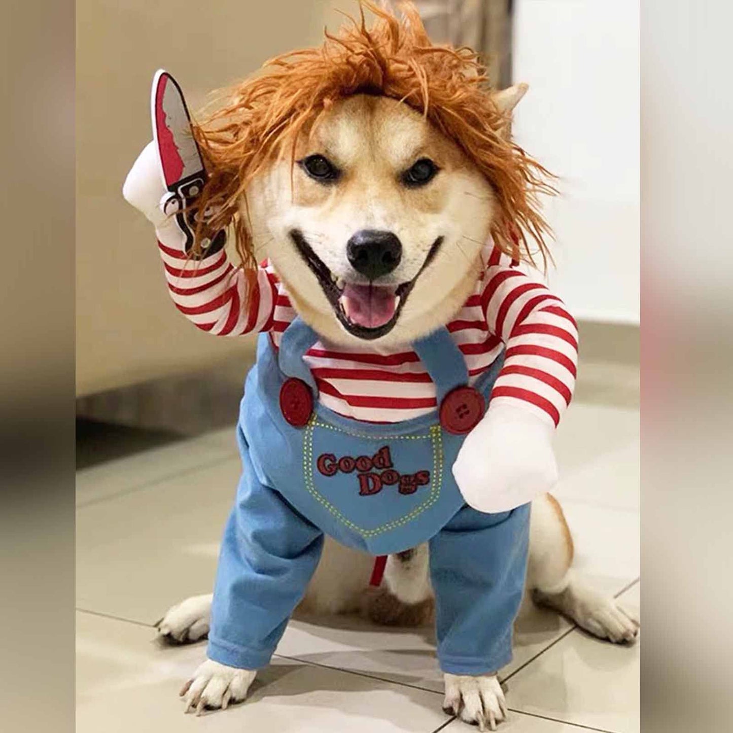 🎃 SpookyPup