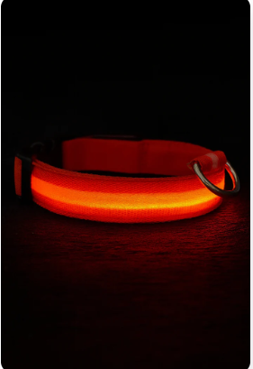 Glow Guard